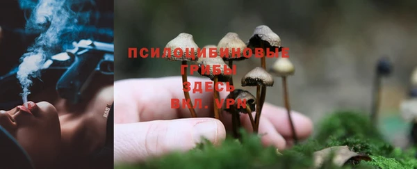 кокаин перу Пересвет