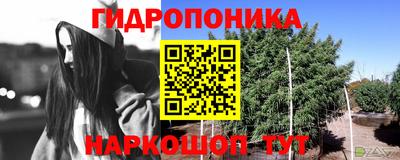 индика Абинск