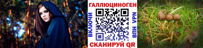 Псилоцибиновые грибы мухоморы Тобольск