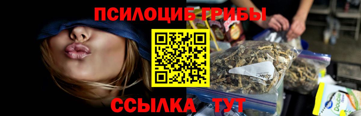 Псилоцибиновые грибы прущие грибы  Галлюциногенные грибы Psilocybe  Вход с VPN  Тобольск 